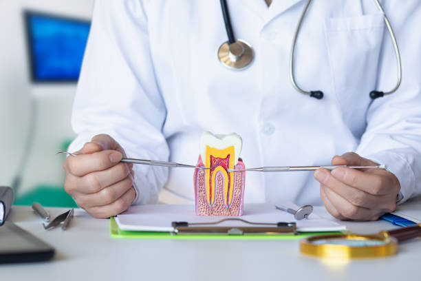 Best Emergency Dental Extractions in Parsons, TN